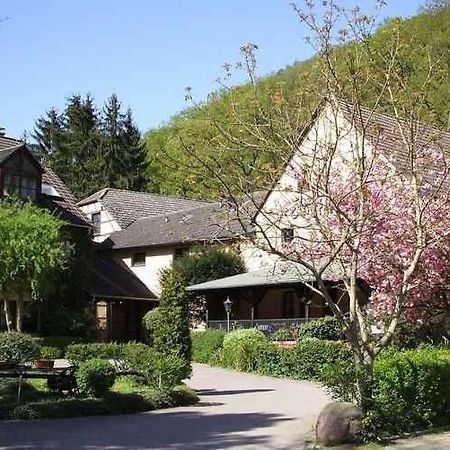 Landhotel Burkartsmuehle Hofheim am Taunus Dış mekan fotoğraf